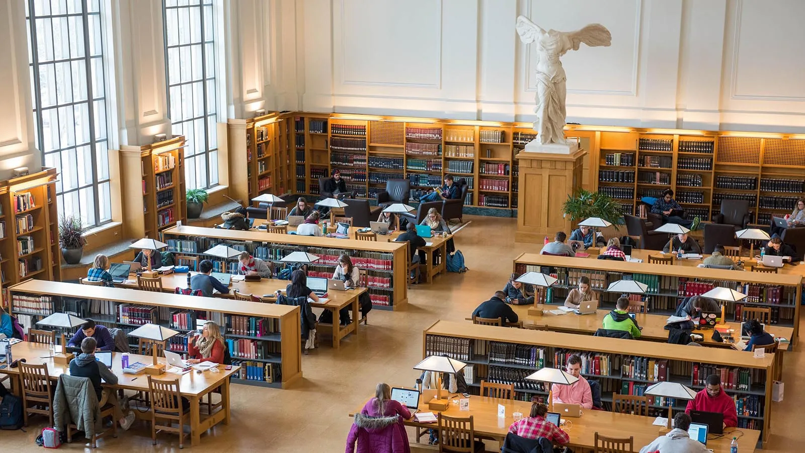 Students studying in library